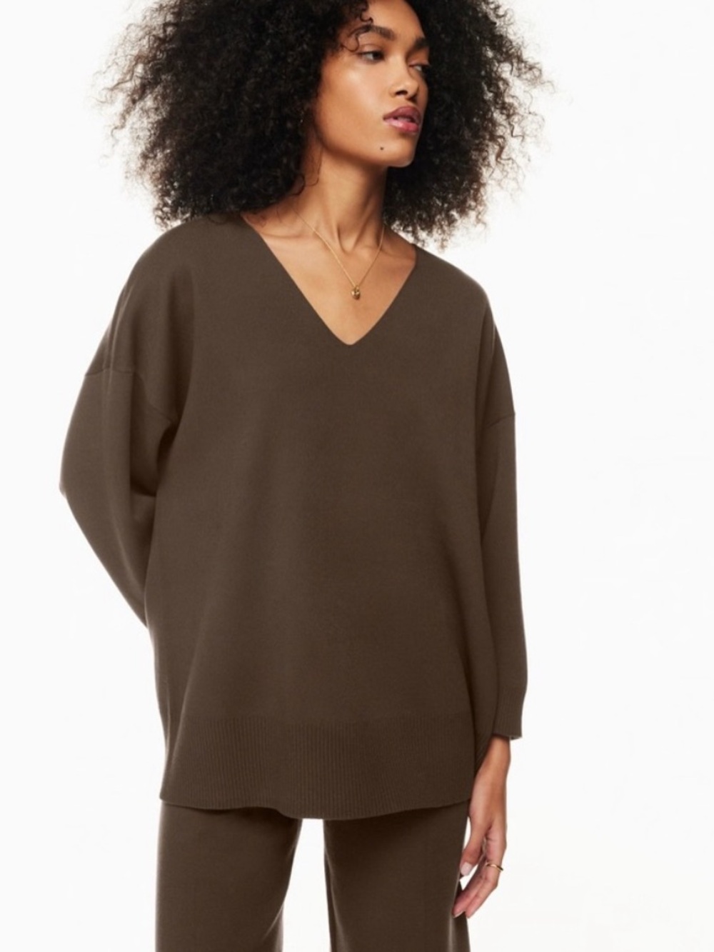 wilfred free souvenir sweater 2 (size medium) Relaxed V-Neck Sweater in Brown